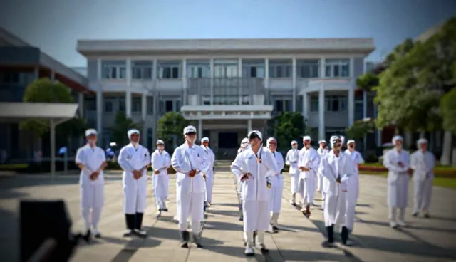 媒介投放选型关注点及优化建议
